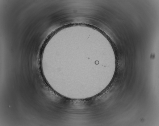 X0000100850832200807070931