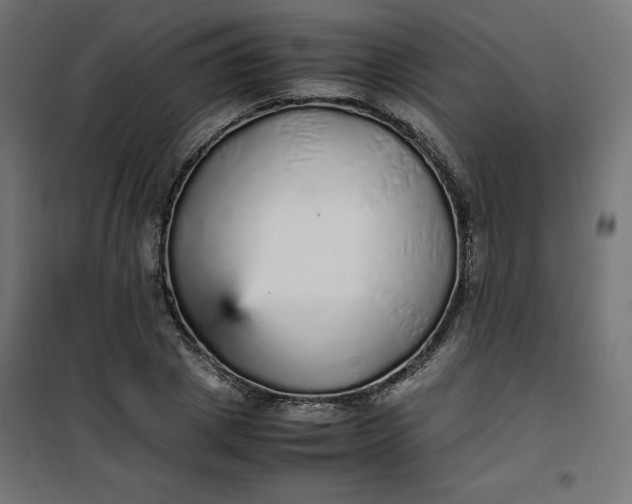 X0000100850833200807070931