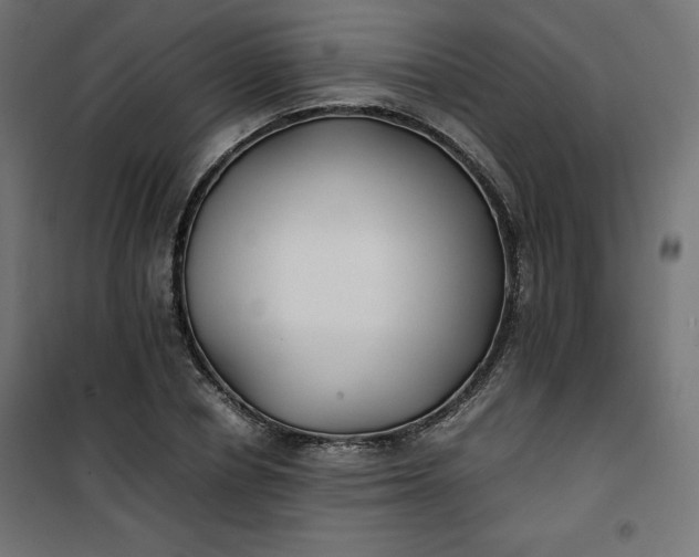 X0000100850834200807070931