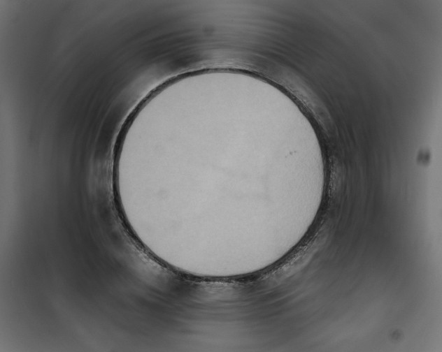 X0000100850836200807070931