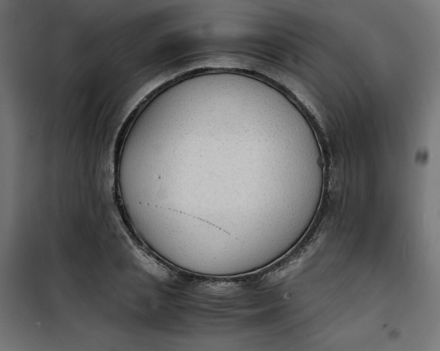 X0000100850837200807070931