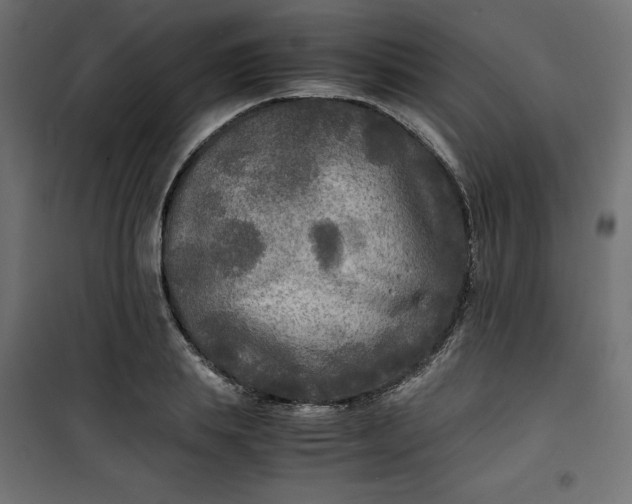 X0000100850839200807070931