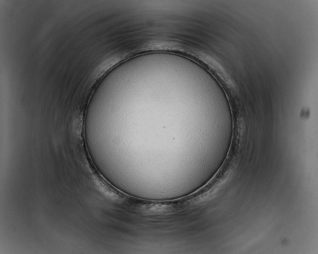 X0000100850841200807070931