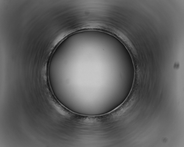 X0000100850842200807070931