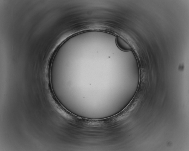 X0000100850843200807070931