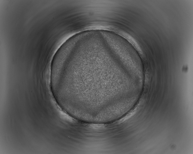 X0000100850844200807070931