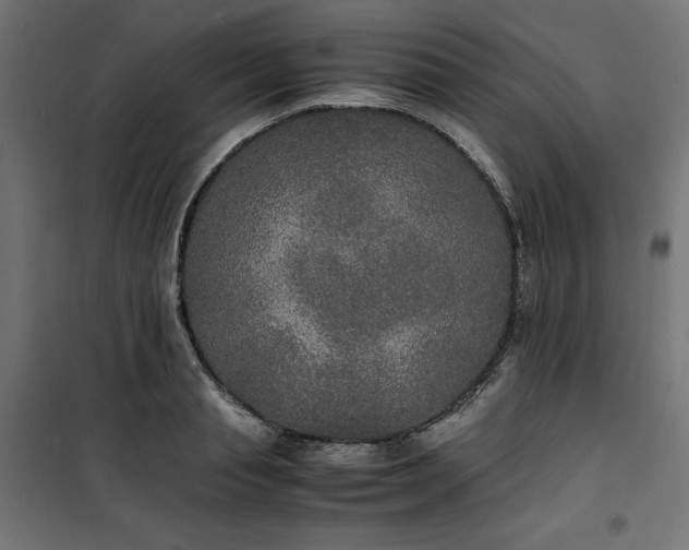 X0000100850845200807070931