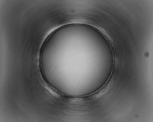 X0000100850846200807070931