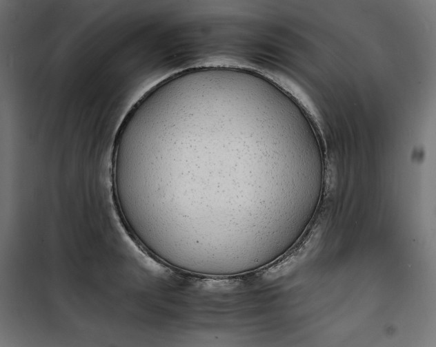 X0000100850847200807070931