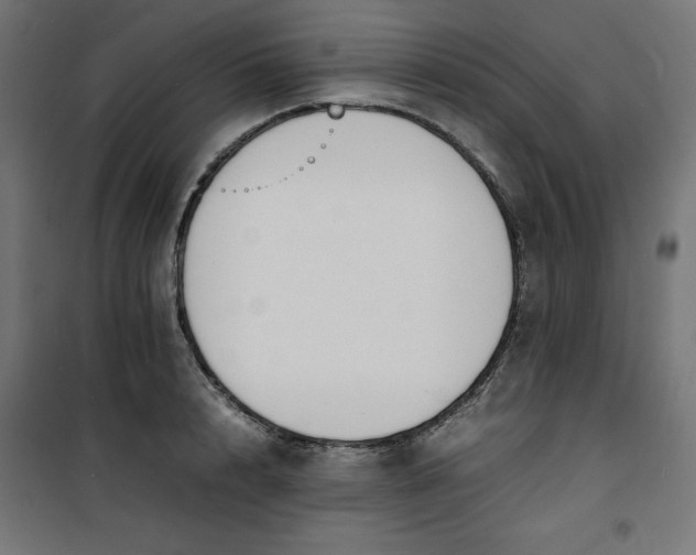 X0000100850848200807070931