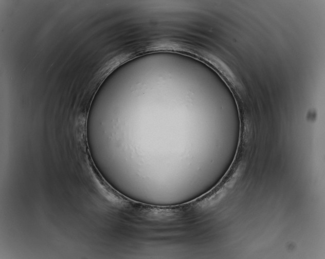 X0000100850849200807070931