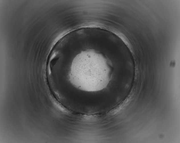 X0000100850850200807070931