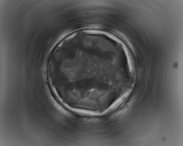 X0000100850851200807070931