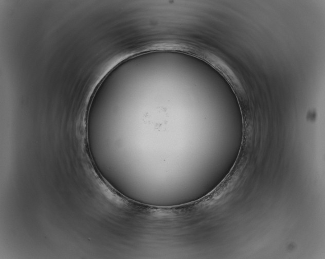 X0000100850852200807070931