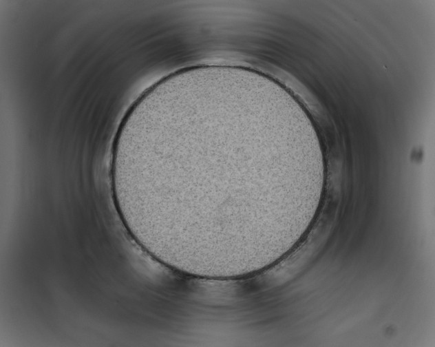 X0000100850856200807070931