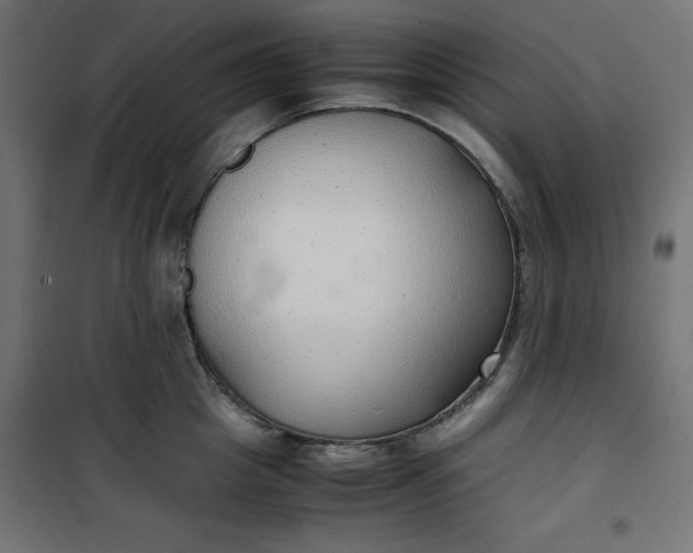 X0000100850857200807070931