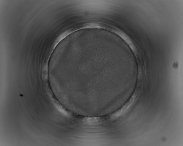 X0000100850858200807070931