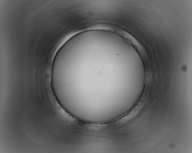 X0000100850860200807070931