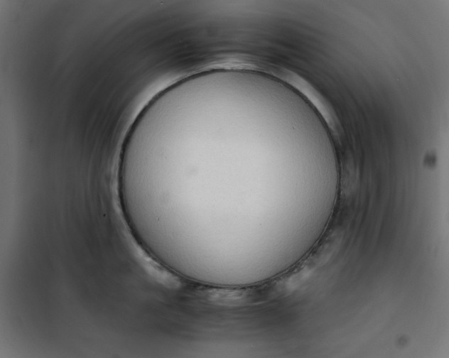 X0000100850861200807070931