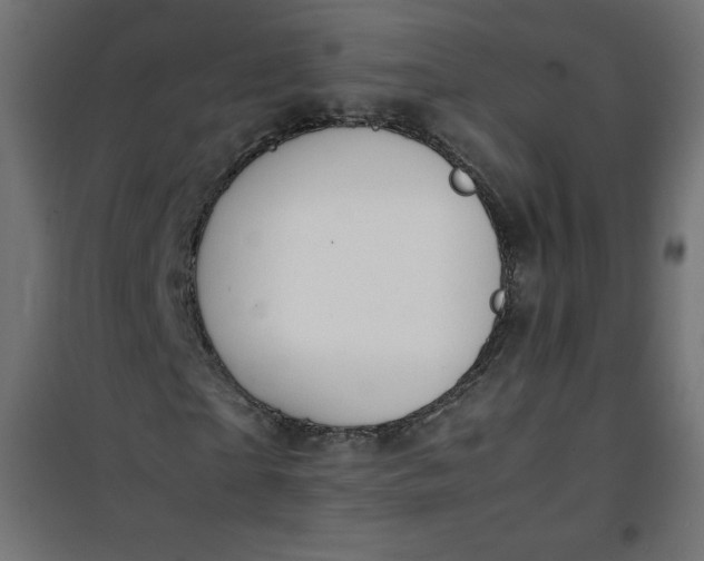 X0000100850865200807070931