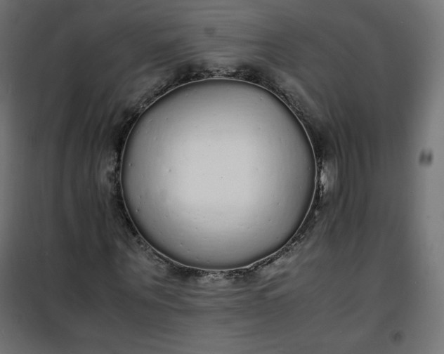 X0000100850867200807070931