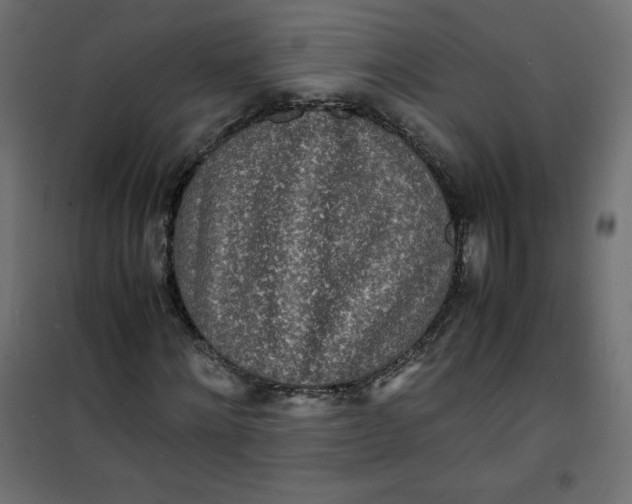 X0000100850868200807070931