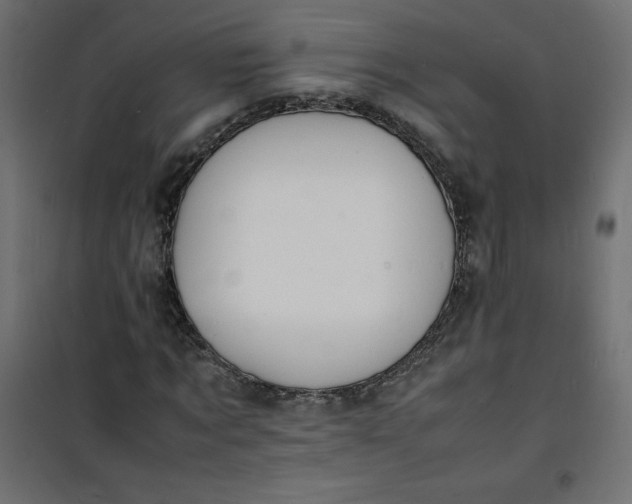 X0000100850869200807070931