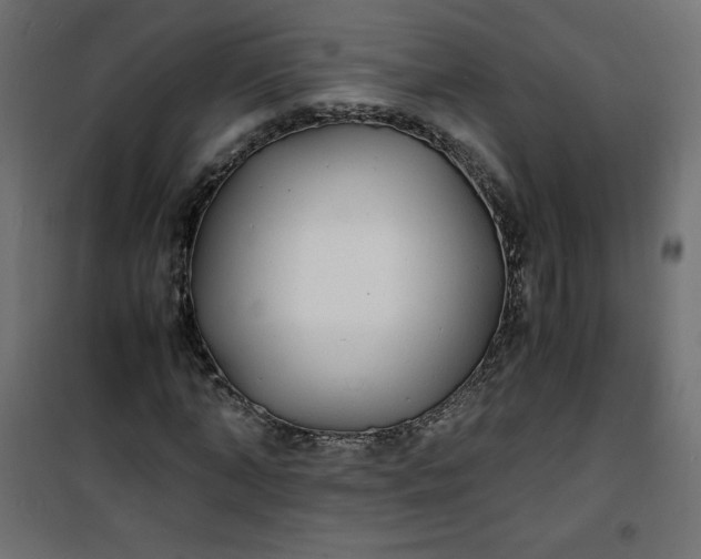 X0000100850870200807070931