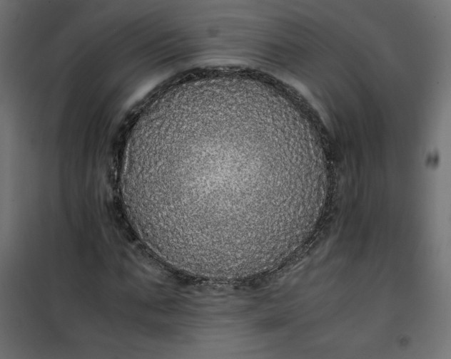 X0000100850871200807070931