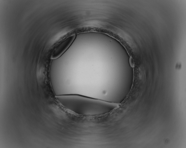 X0000100850872200807070931