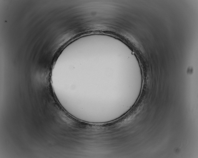 X0000100850873200807070931