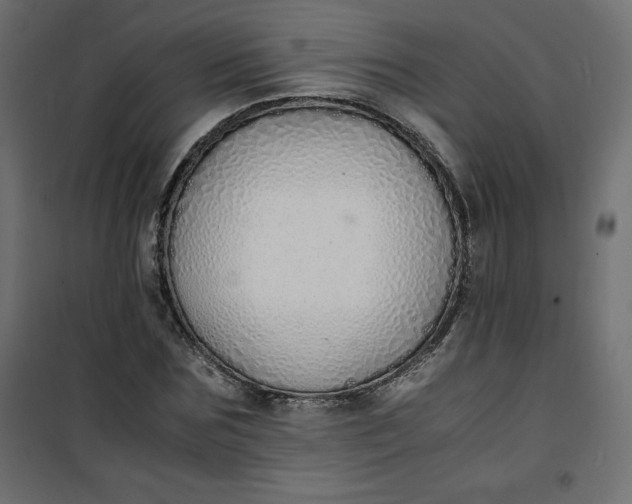 X0000100850875200807070931