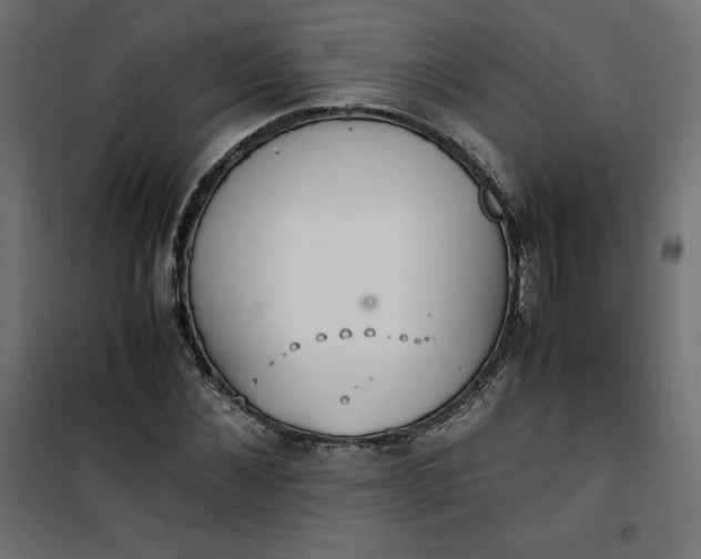 X0000100850876200807070931