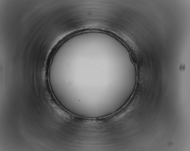 X0000100850880200807070930