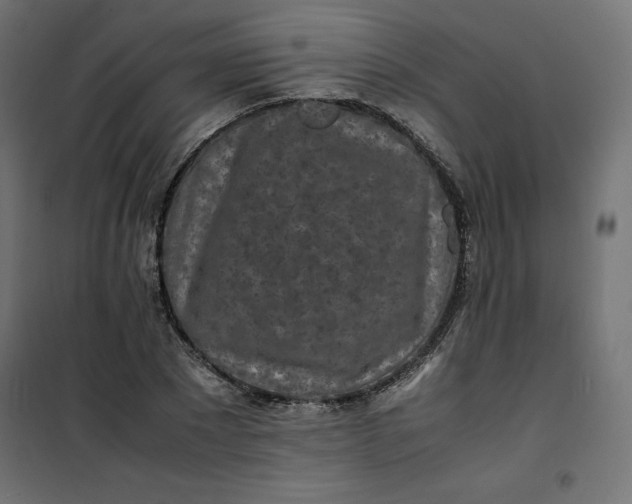 X0000100850881200807070930