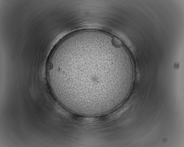 X0000100850883200807070930