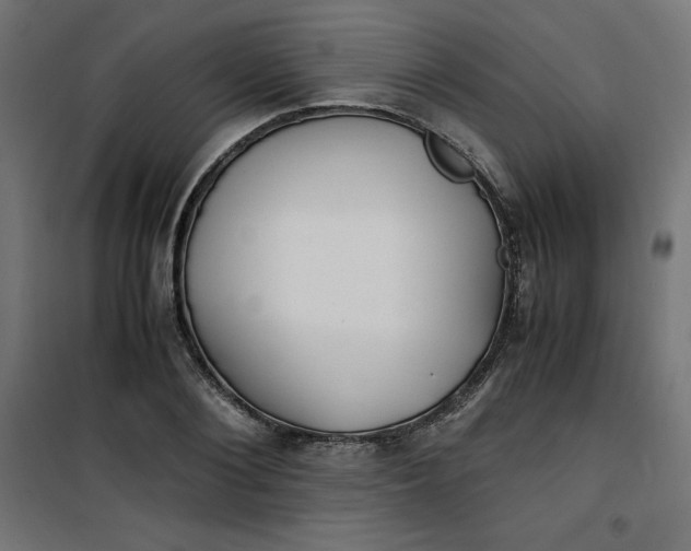 X0000100850884200807070930