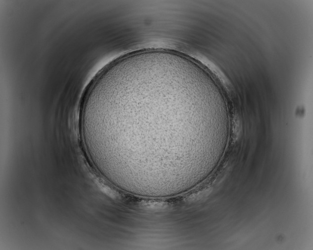 X0000100850886200807070930