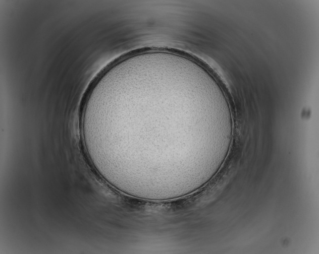 X0000100850887200807070930