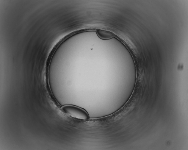 X0000100850888200807070930