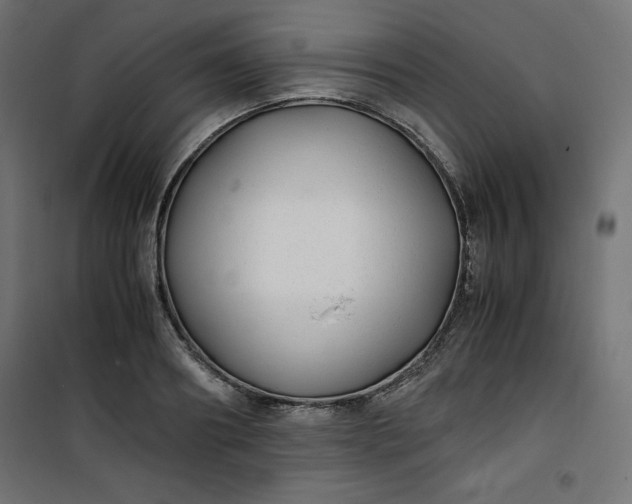 X0000100850890200807070930