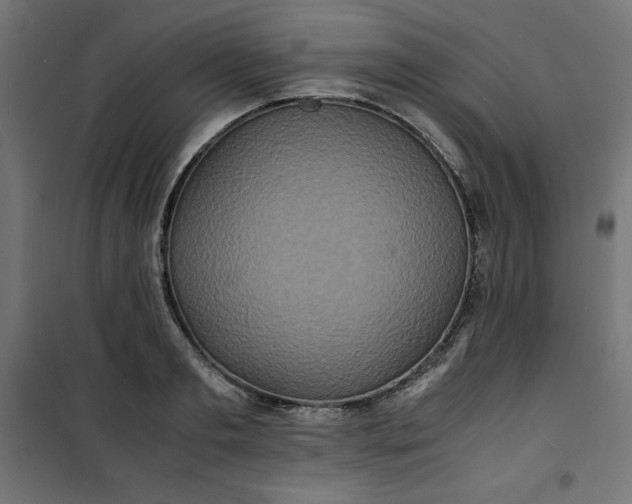 X0000100850893200807070930