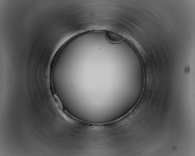 X0000100850894200807070930