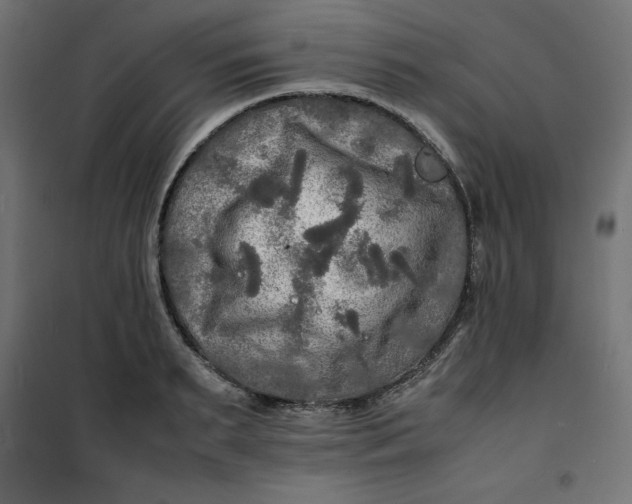 X0000100850895200807070930