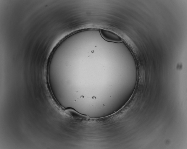 X0000100850896200807070930