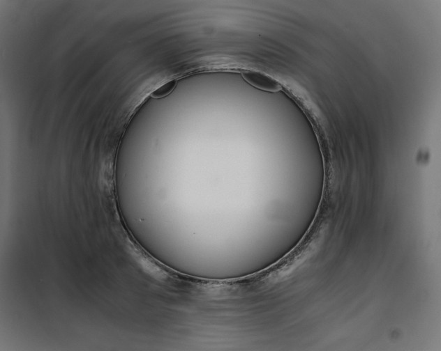 X0000100850897200807070930