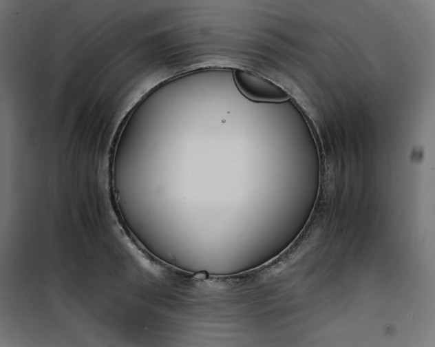 X0000100850898200807070930