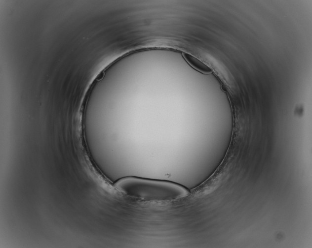 X0000100850900200807070930