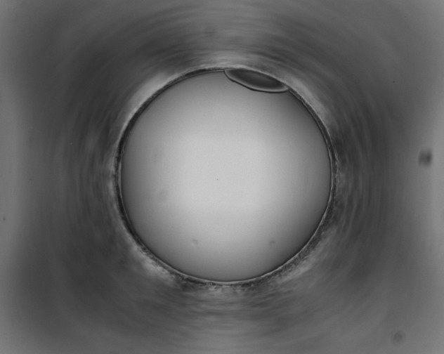 X0000100850901200807070930