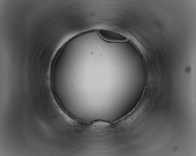 X0000100850902200807070930